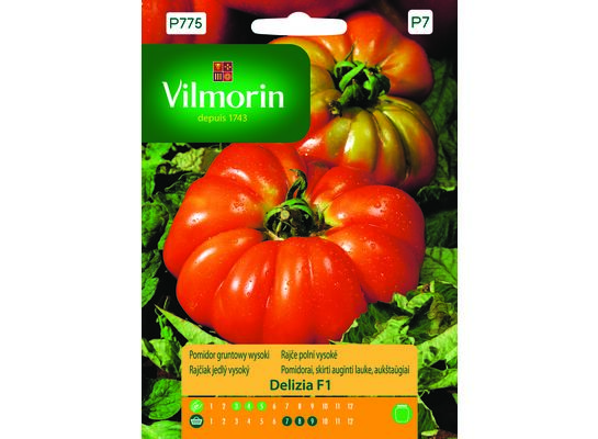 Pomidor gruntowy i pod osłony wysoki Delizia F1 0,1 g Vilmorin Garden