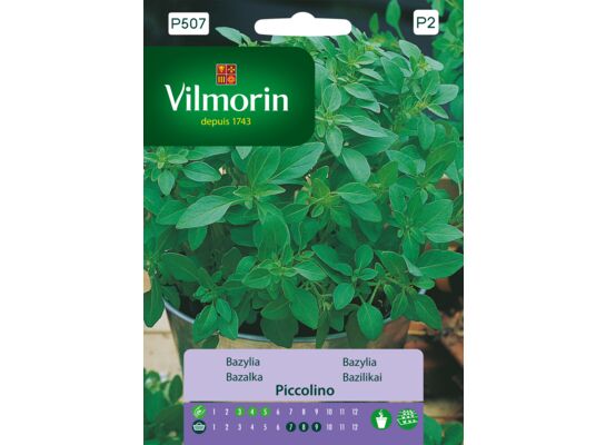 Bazylia Piccolino 1 g Vilmorin Garden