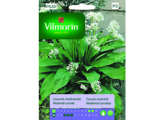 Czosnek niedźwiedzi 0,5 g Vilmorin Garden