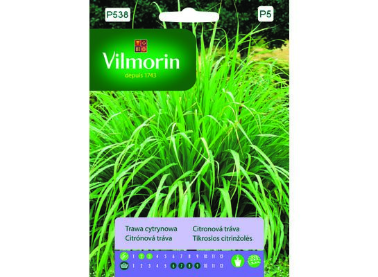 Trawa cytrynowa Palczatka pogięta 0,5 g Vilmorin Garden