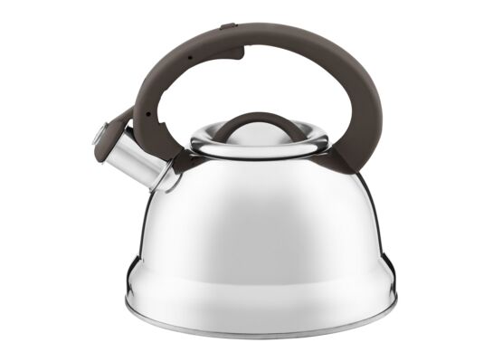 Czajnik 2,2 l mix kolorów srebrny RENE