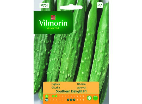 Ogórek pod osłony Southern Delight F1 1 g Vilmorin Garden