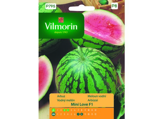 Arbuz Mini Love F1 7 z Vilmorin Garden