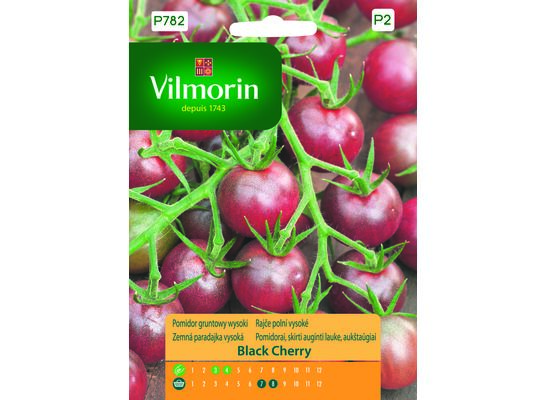 Pomidor gruntowy i pod osłony wysoki Black Cherry 0,2 g Vilmorin Garden
