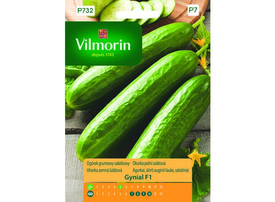 Ogórek gruntowy sałatkowy Gynial F1 2 g Vilmorin Garden