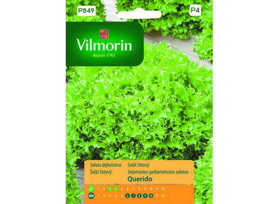 Sałata dębolistna Querido 0,5 g Vilmorin Garden