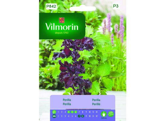 Perilla 0,5 g Vilmorin Garden