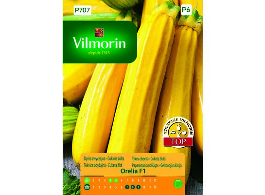 Dynia zwyczajna cukinia żółta Orelia 2 g Vilmorin Garden
