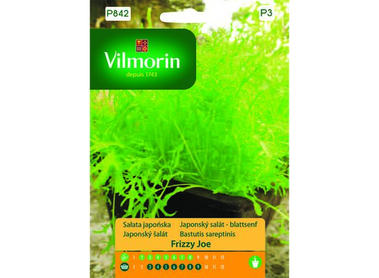 Sałata japońska Frizzy Joe 0,5 g Vilmorin Garden