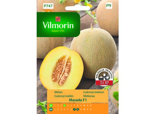 Melon Masada 10 z Vilmorin Garden