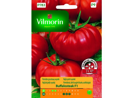Pomidor gruntowy i pod osłony wysoki Buffalosteak F1 10 Vilmorin Garden