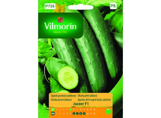 Ogórek gruntowy sałatkowy Jazzer F1 10 z Vilmorin Garden