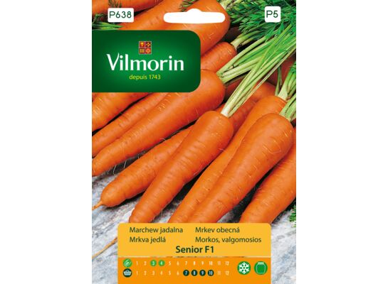 Marchew jadalna Senior F1 2 g Vilmorin Garden