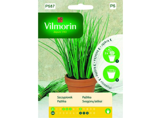 Warzywa na krążku szczypiorek - 3 sztuki Vilmorin Garden