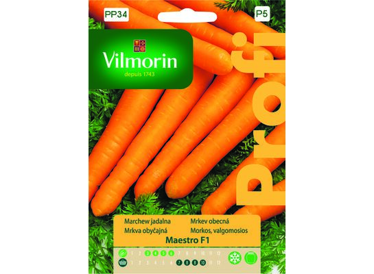 Marchew jadalna Maestro F1 2 g Vilmorin Garden