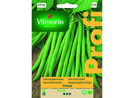 Fasola szparagowa zielona karłowa Primel 30 g Vilmorin Garden