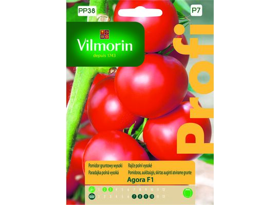 Pomidor gruntowy wysoki czerwony Agora F1 0,2 g Vilmorin Garden