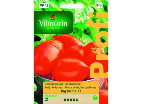 Pomidor szklarniowy wysoki czerwony Big Mama F1 0,1 g Vilmorin Garden