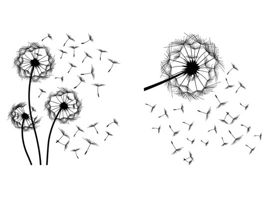 Naklejka Madex 10018 Dmuchawce