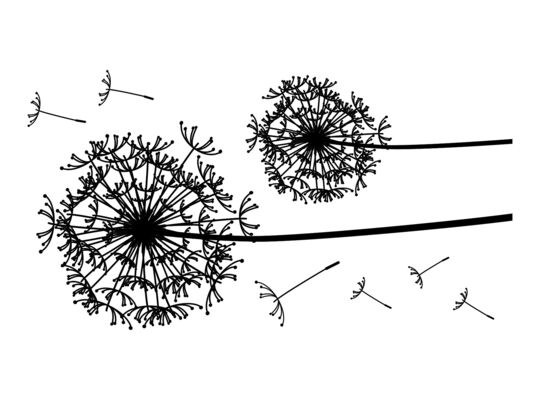 Naklejka Madex 30005 Dmuchawce