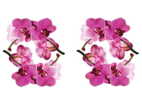 Naklejka Madex 10021 Storczyk