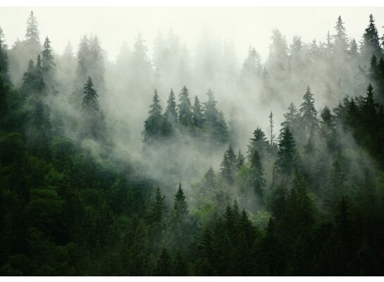 Fototapeta Madex 13026 P4