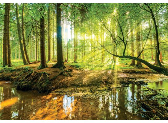 Fototapeta Madex 10513 P4