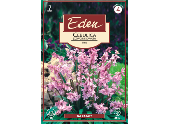 Cebulica dzwonkowata Scilla Campanulata 7 sztuk Eden