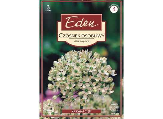 Czosnek osobliwy Nigrum 3 sztuki Eden