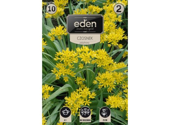 Czosnek południowy żółty 10 sztuk Eden