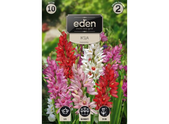 Iksja mix 10 sztuk Eden