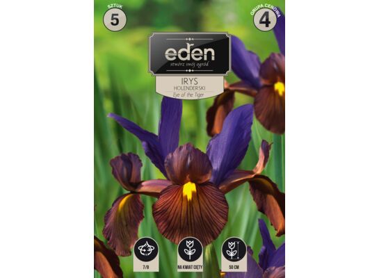 Irys Eye Of The Tiger 5 sztuk Eden
