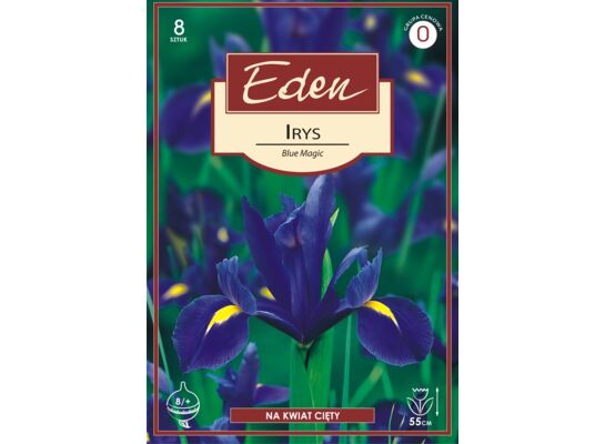 Irys Holandica Blue Magic 8 sztuk Eden