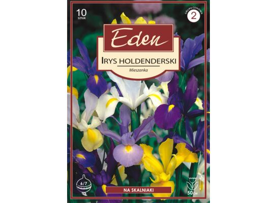 Irys Holandica mix 10 sztuk Eden
