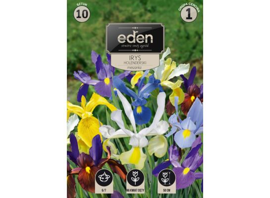 Irys holenderski mix 10 sztuk Eden