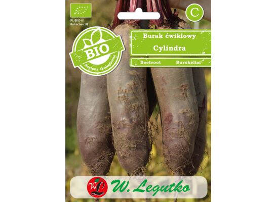 Burak ćwikłowy Cylindra BIO 10 g gc. C W.Legutko