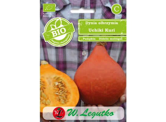 Dynia olbrzymia Uchiki Kuri 2 g gc. C W.Legutko