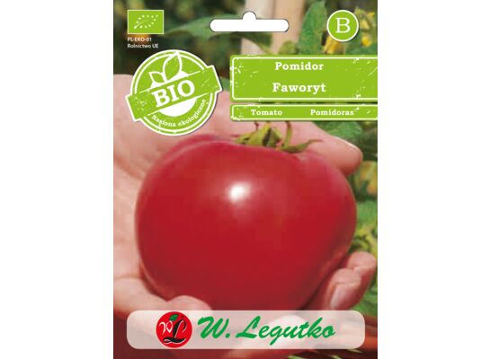 Pomidor Faworyt owoce bardzo duże, mięsiste
