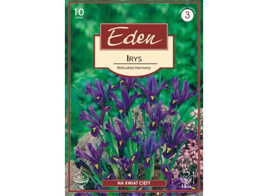 Irys Reticulata 10 sztuk Eden