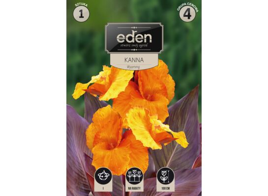 Kanna Wyoming 1 sztuka Eden