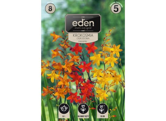 Krokosmia Montbrecja mix 8 sztuk Eden