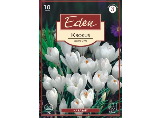 Krokus wiosenny Jeanne d'arc - 10 sztuk Eden