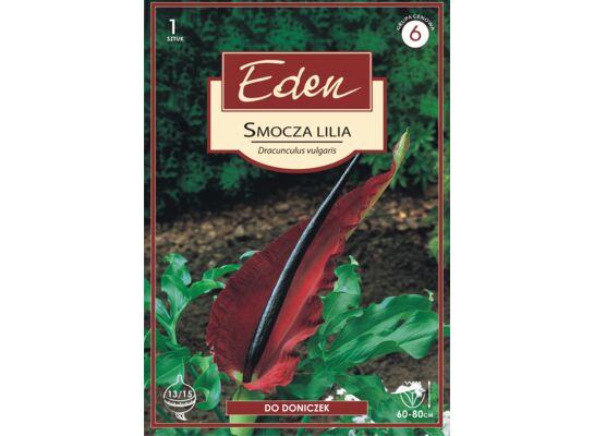 Lilia smocza Dracunculus vulgaris 1 sztuka Eden