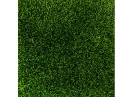 Dywan Trawa Wembley 100 x 200 cm
