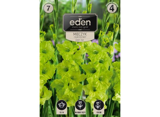 Mieczyk Green Star 7 sztuk Eden