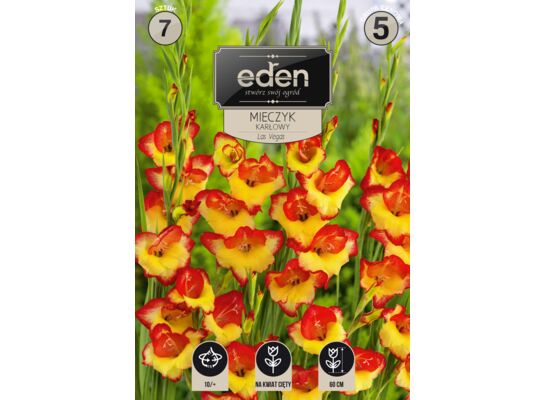 Mieczyk Las Vegas 7 sztuk Eden