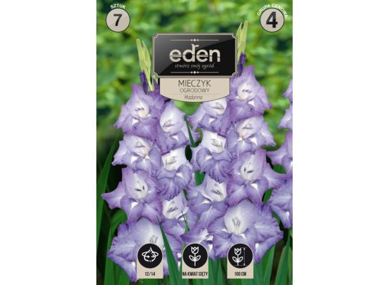 Mieczyk Madonna 7 sztuk Eden