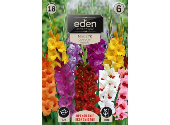 Mieczyk mix 18 sztuk Eden