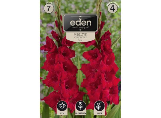 Mieczyk Oskar 7 sztuk Eden