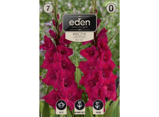 Mieczyk Plum Tart 7 sztuk Eden